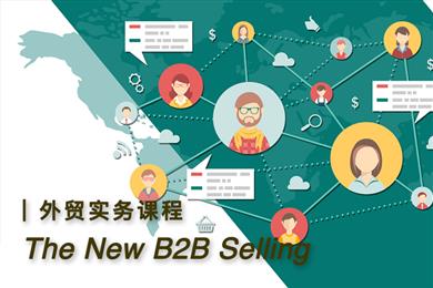 The New B2B Selling (教你GET新B2B企业营销之道)