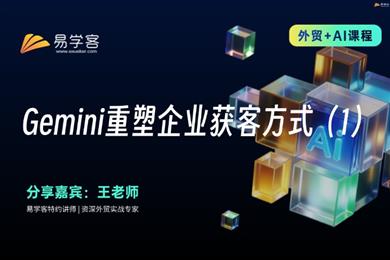 Gemini获客新范式1