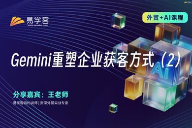Gemini获客新范式2